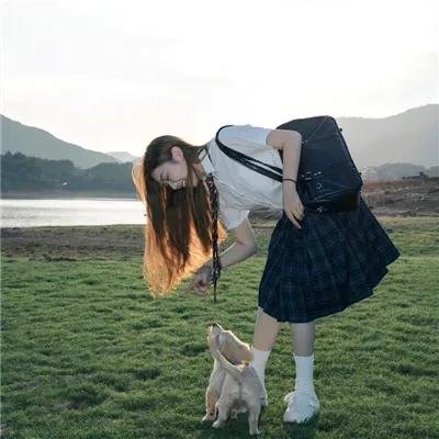 猫2020